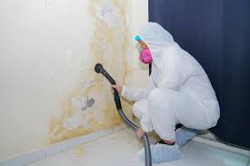  Cudahy, CA Mold Inspection Pros